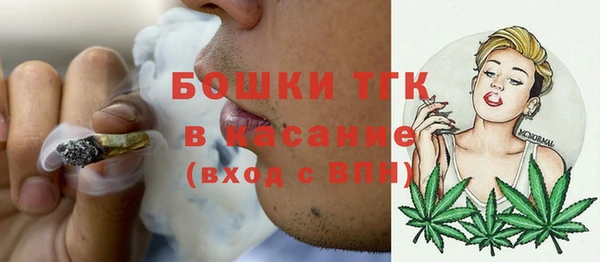 гашик Каменногорск