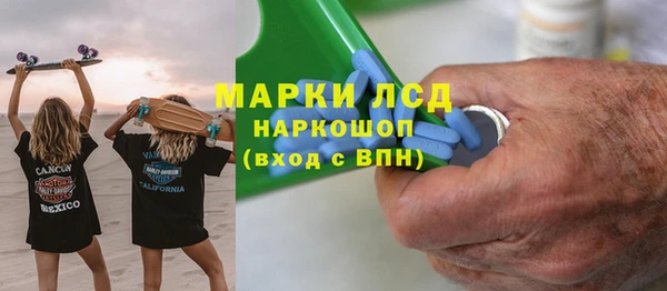 прущие грибы Рославль