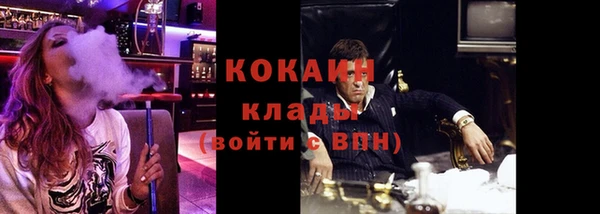 спайс Каменка