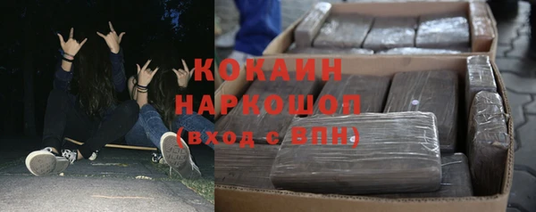 спайс Каменка