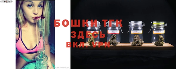 спайс Каменка