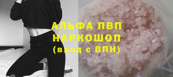 спайс Каменка