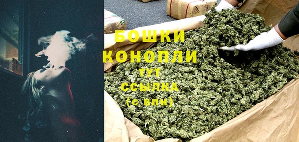 гашик Каменногорск