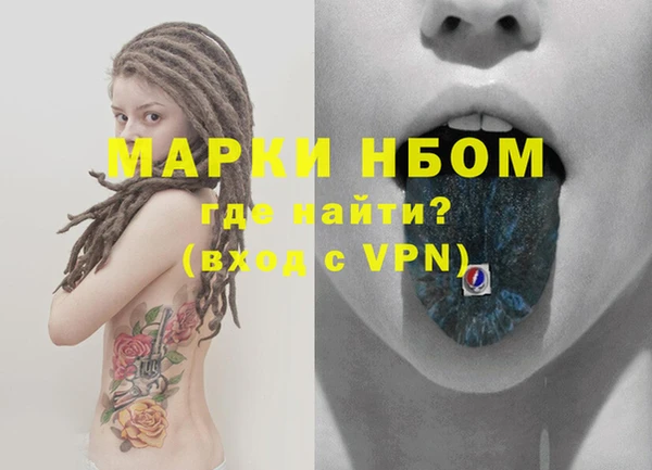 гашик Каменногорск